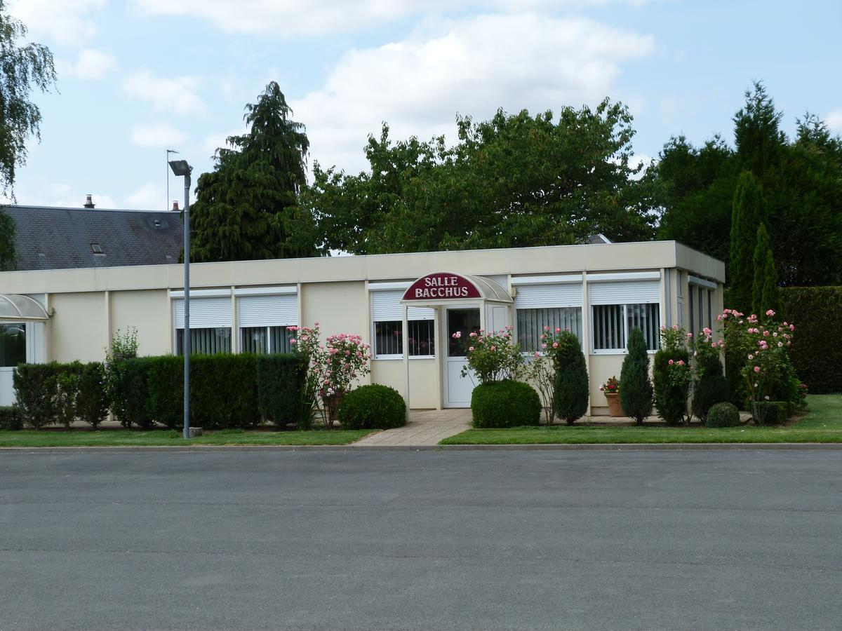 Hostellerie Du Chateau Saint-Pere-sur-Loire Ngoại thất bức ảnh