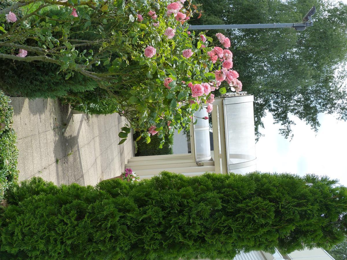 Hostellerie Du Chateau Saint-Pere-sur-Loire Ngoại thất bức ảnh